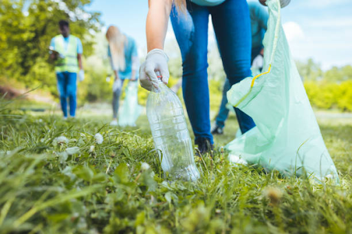 How to Avoid Plastic Pollution? Easy Steps to Protect Your Health and the Planet