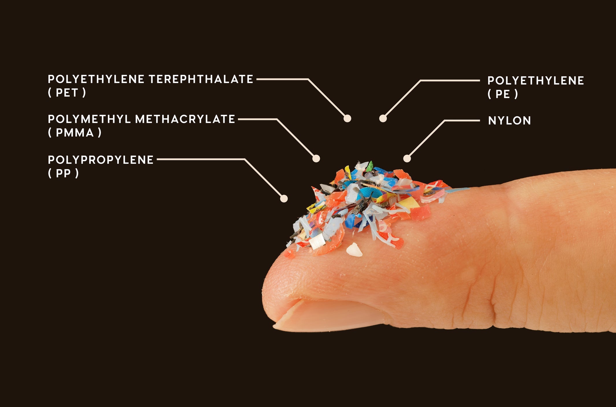 5 Types of Microplastics You’re Exposed to Daily & How to Reduce Them ...