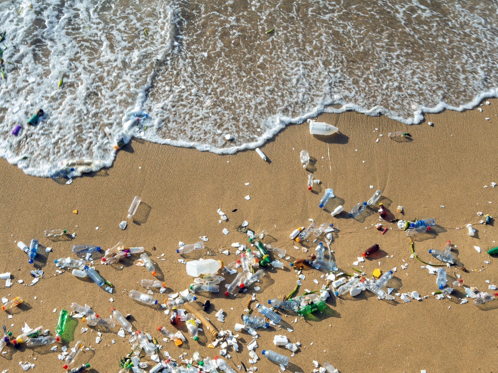 Microplastics and the Environment: Impact and Sustainable Solutions